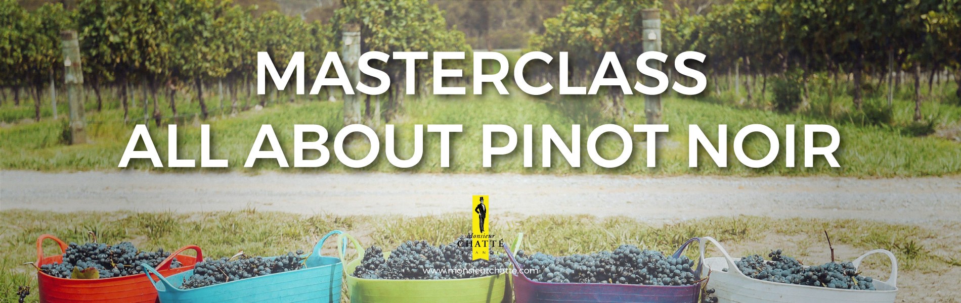 ALL ABOUT PINOT NOIR MASTERCLASS PAIRING EVENT